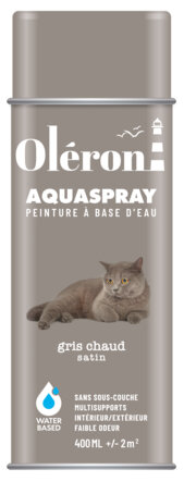 Aérosol OLERON AQUA SPRAY gris chaud satin